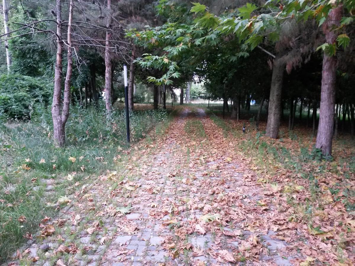 Sheki Olimpiya Hotel & Resort 外观 照片