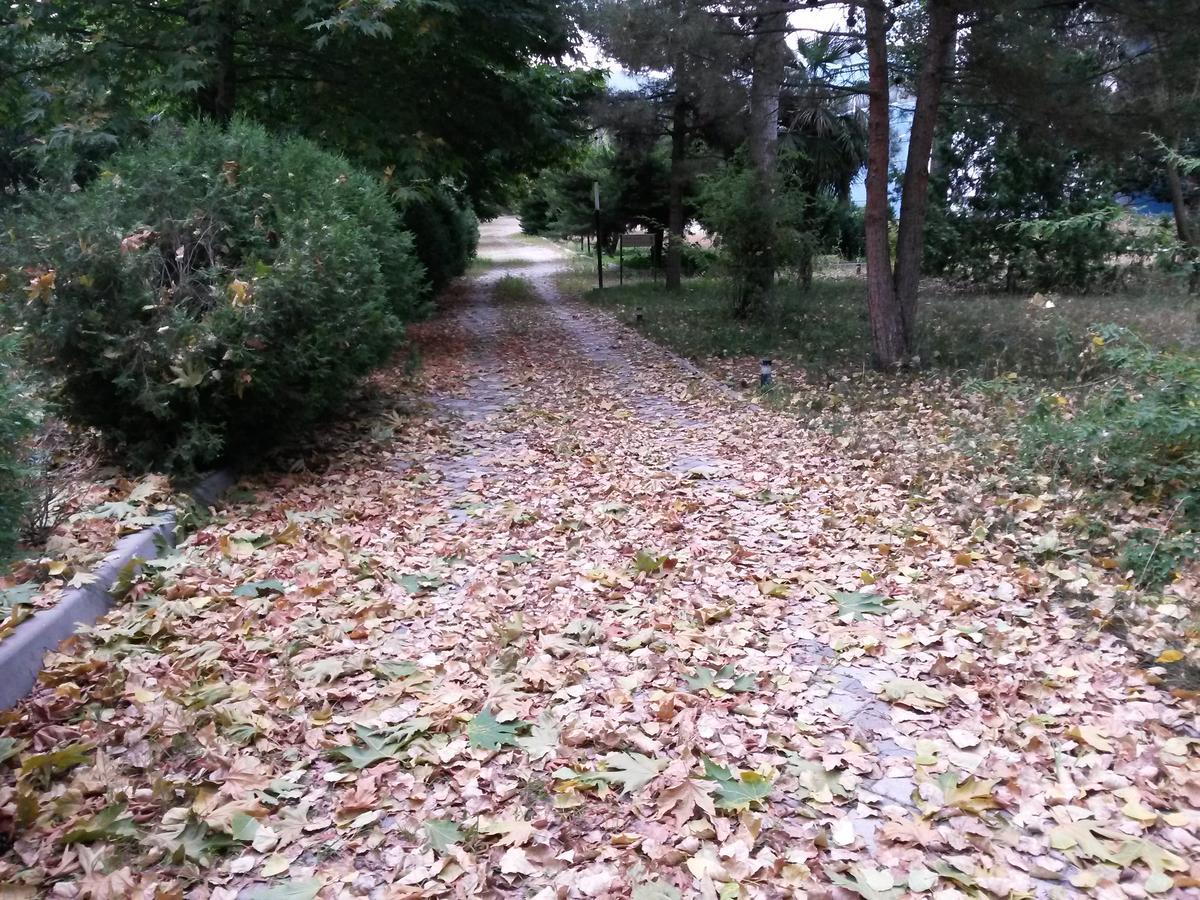 Sheki Olimpiya Hotel & Resort 外观 照片