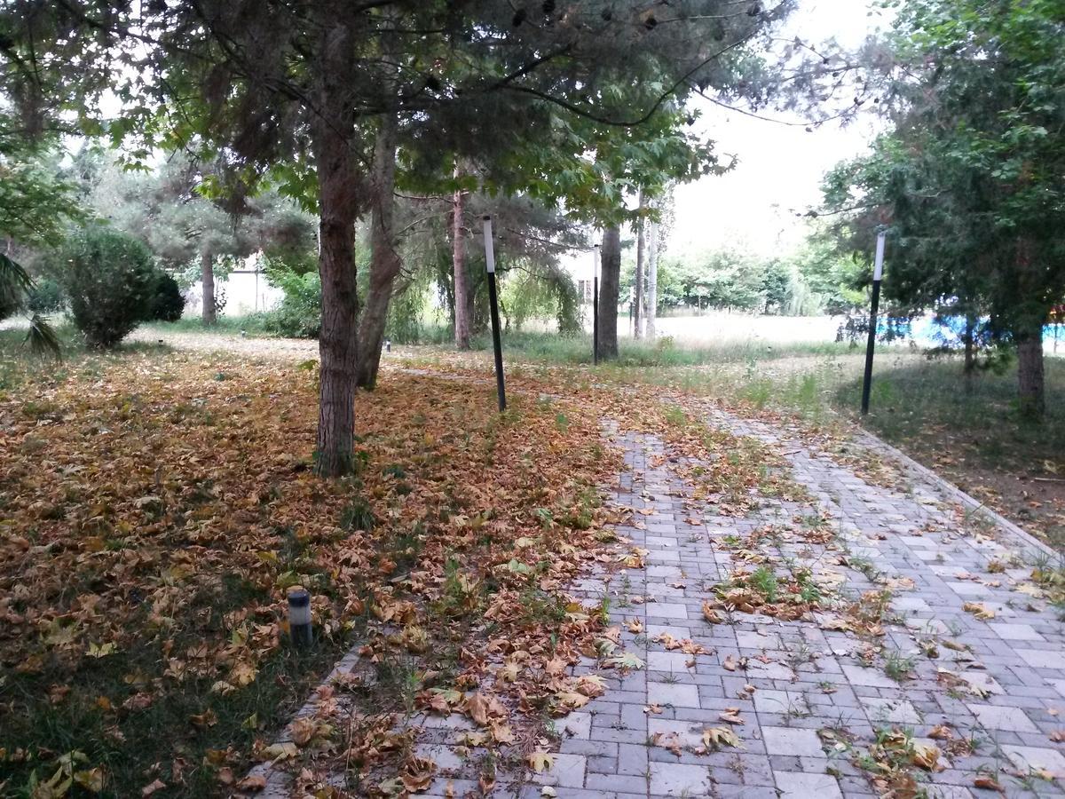 Sheki Olimpiya Hotel & Resort 外观 照片