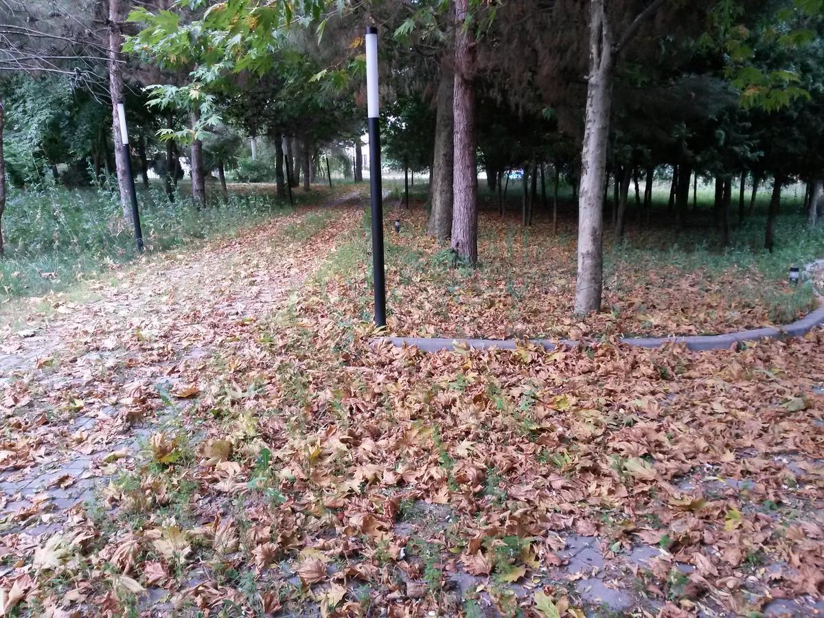 Sheki Olimpiya Hotel & Resort 外观 照片