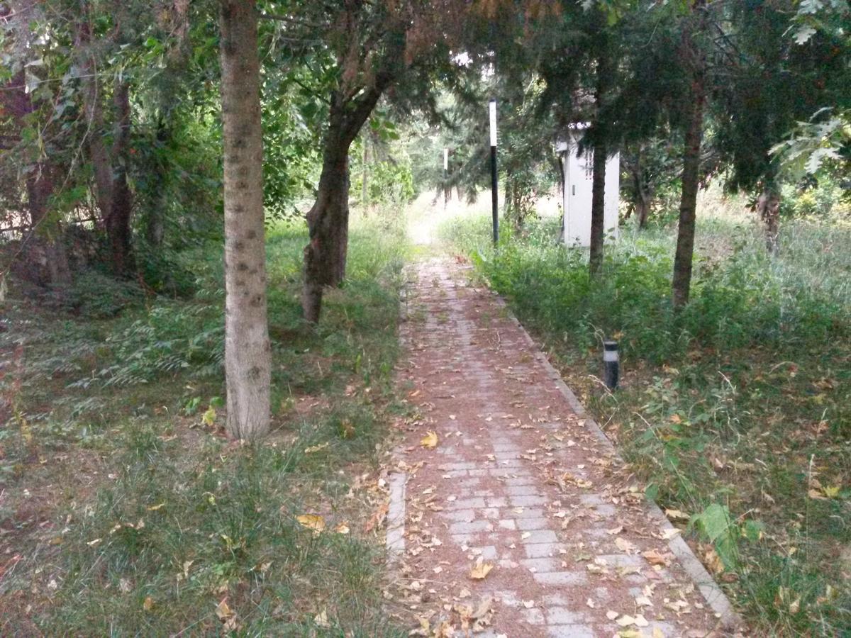 Sheki Olimpiya Hotel & Resort 外观 照片