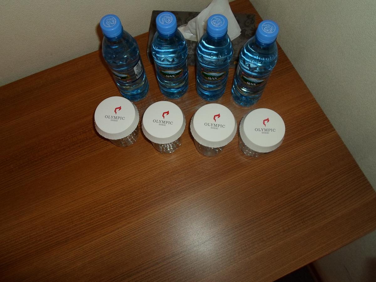 Sheki Olimpiya Hotel & Resort 外观 照片