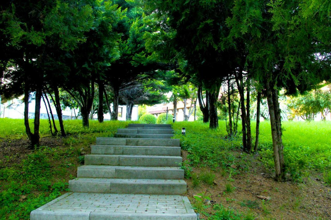 Sheki Olimpiya Hotel & Resort 外观 照片